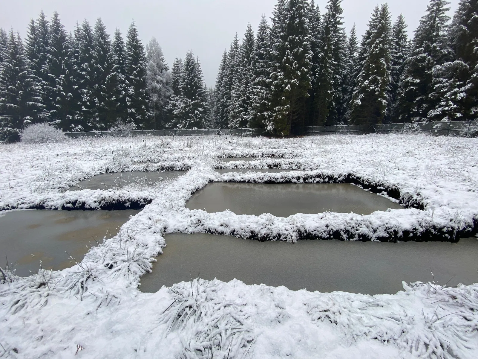 Ložisko peloidu v Karlově Studánce
